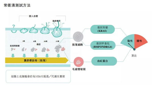 诺辉健康正式登陆港交所,开盘暴涨超185 成港股中国癌症早筛第一股